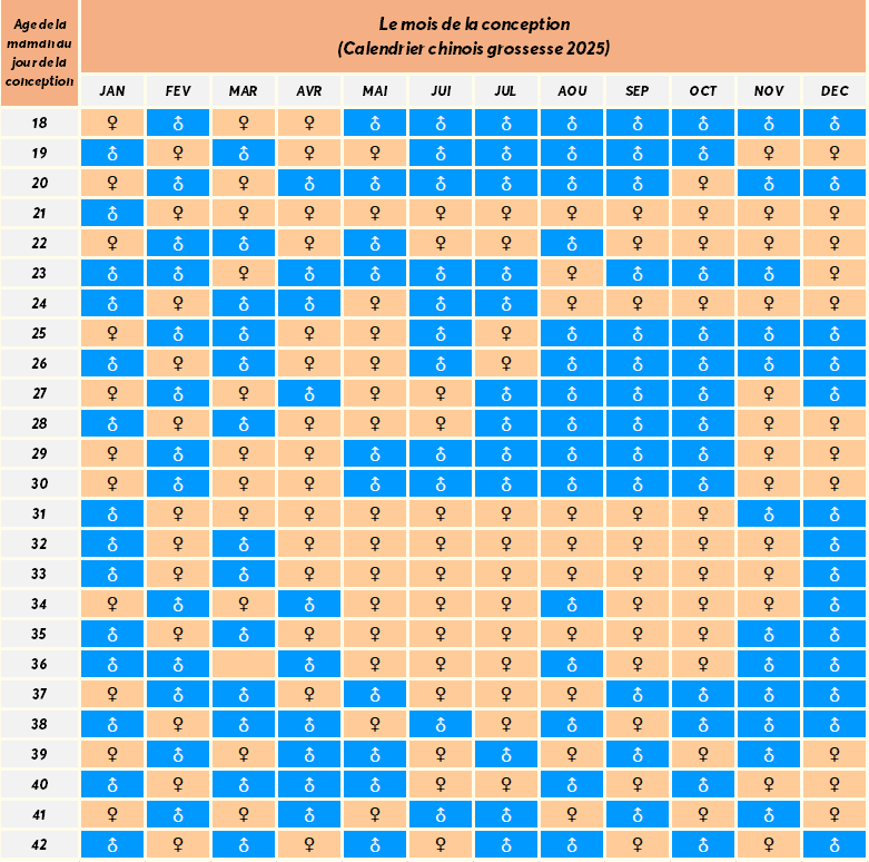 calendrier chinois grossesse 2025